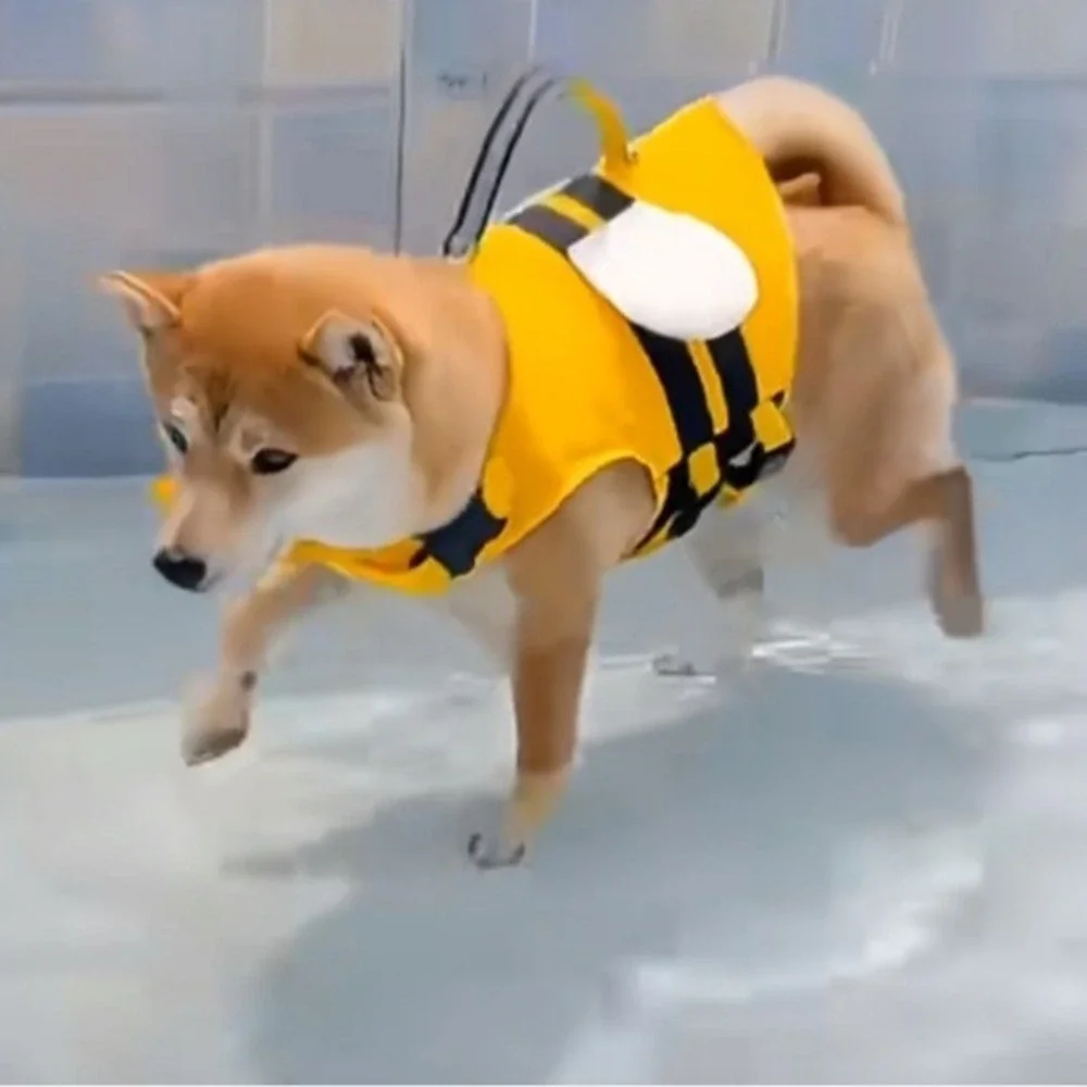 Bee Design Dog Life Jacket M Size 5–10 kg (11–22 lb) Cute Pet‎ Swim Vest for new